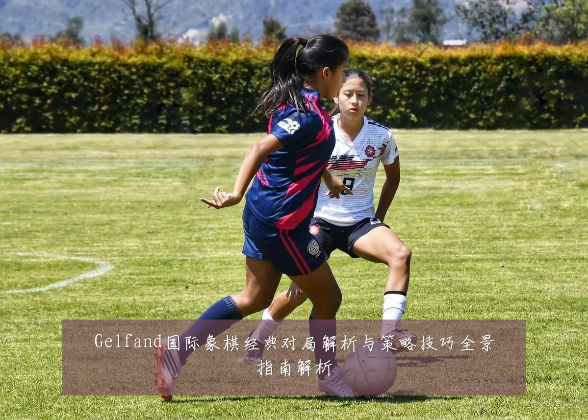 Gelfand国际象棋经典对局解析与策略技巧全景指南解析